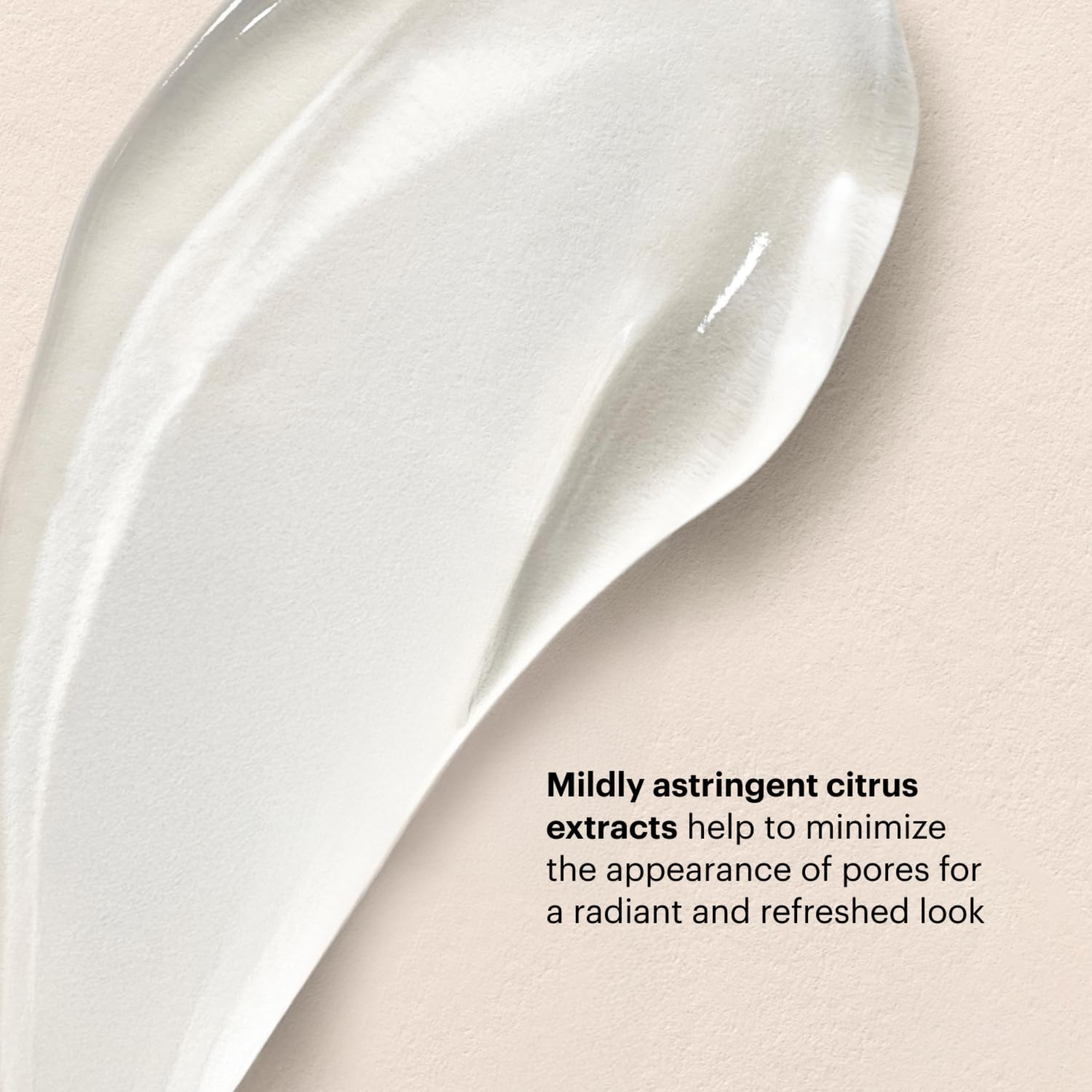 AHA / BHA Cleanser