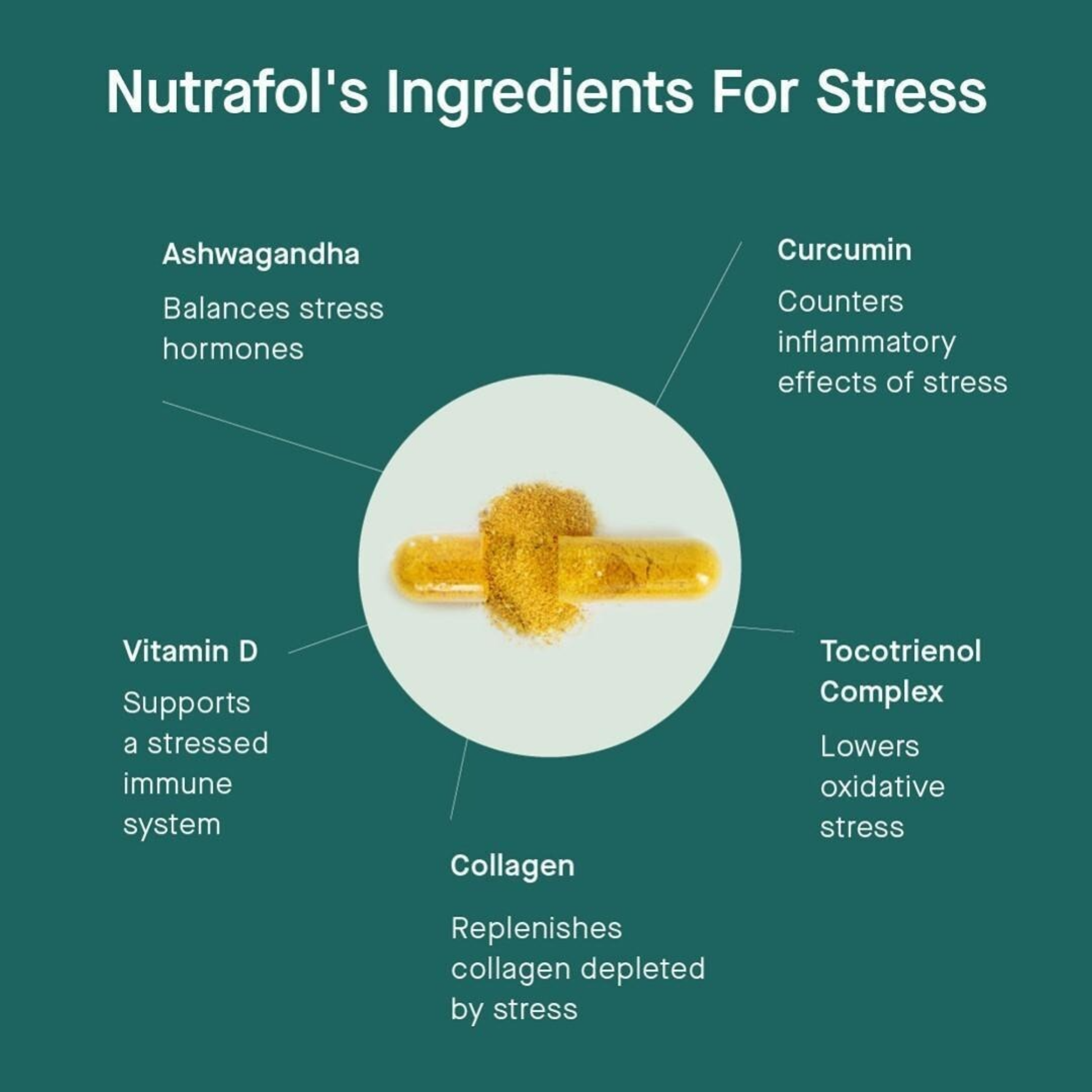 Stress Adaptogen MD - MariposaSkincare.com
