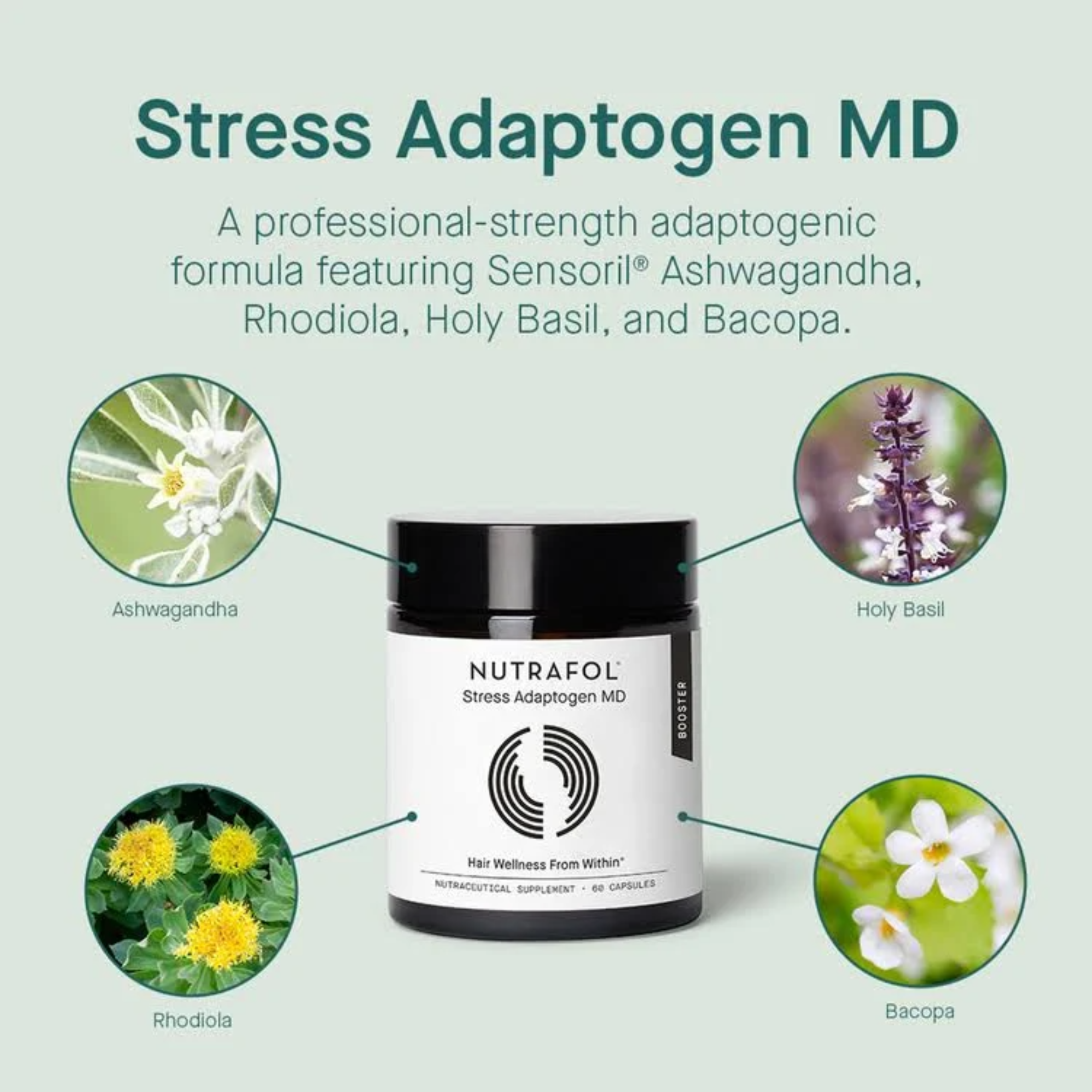 Stress Adaptogen MD - MariposaSkincare.com