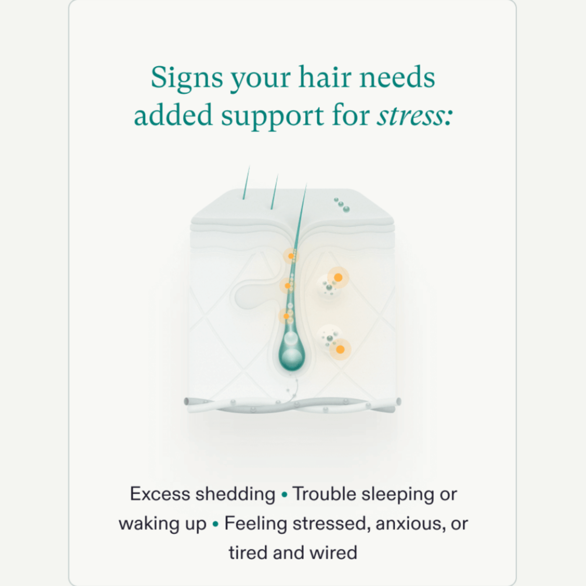 Stress Adaptogen MD - MariposaSkincare.com